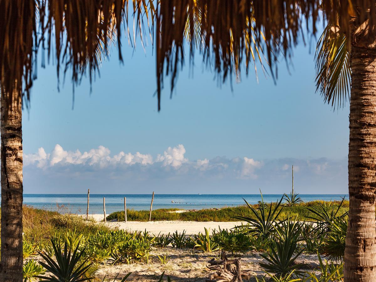 Villas Hm Palapas Del Mar Isla Holbox Dış mekan fotoğraf